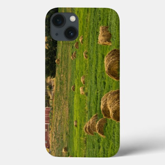 Rode schuur, hooibalen, Albion, Palouse gebied 2 Case-Mate iPhone Case (Achterkant)
