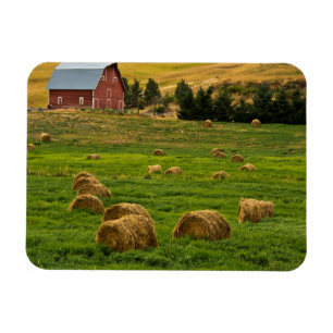 Rode schuur, hooibalen, Albion, Palouse gebied 2 Magneet