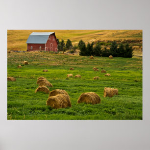 Rode schuur, hooibalen, Albion, Palouse gebied 2 Poster