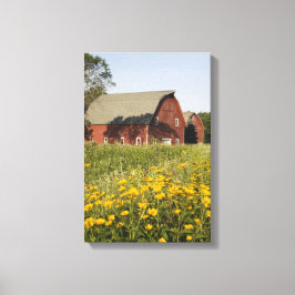Rode schuur met gele wilde bloemen canvas afdruk