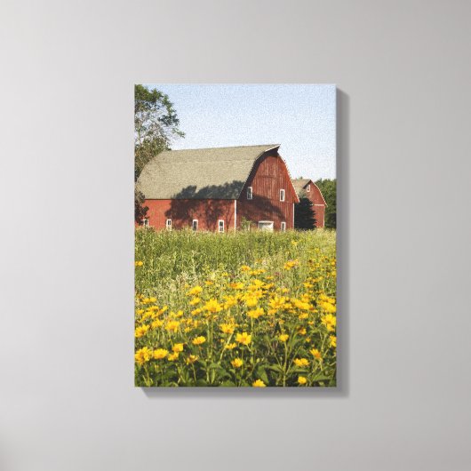 Rode schuur met gele wilde bloemen canvas afdruk (Voorkant)