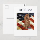 RODE SETTER CURLING  BRIEFKAART (Voorkant / Achterkant)