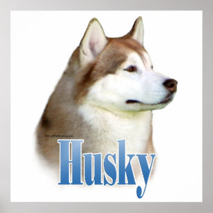 Rode Siberische Husky Poster