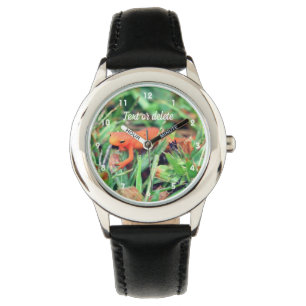 Rode Sinaasappel Salamander Natuur 1 Horloge