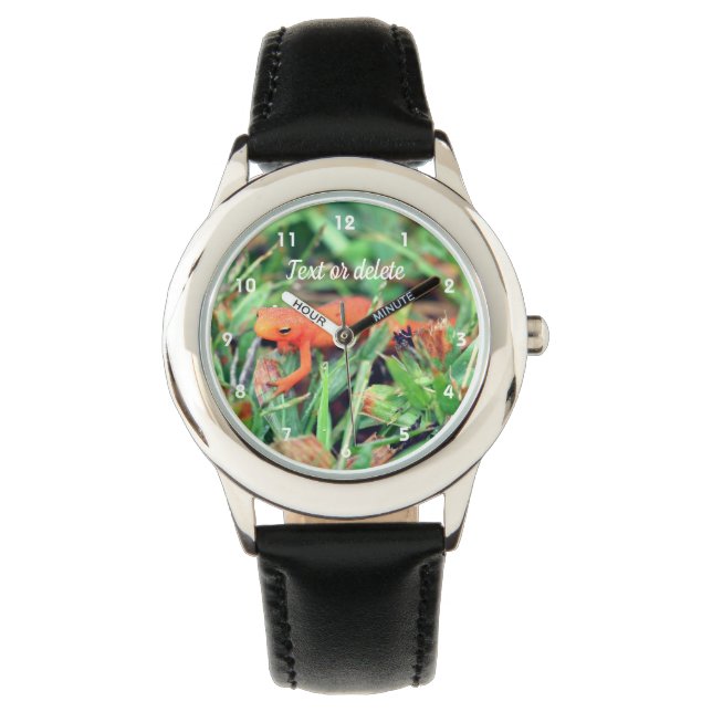 Rode Sinaasappel Salamander Natuur 1 Horloge (Voorkant)