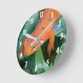 Rode Sinaasappel Salamander Natuur Ronde Klok (Hoek)