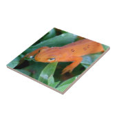 Rode Sinaasappel Salamander Natuur Tegeltje (Zijkant)