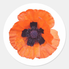 Rode Sinaasvalmuur Ronde Sticker