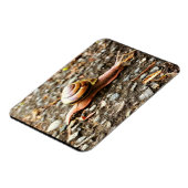 Rode slak op de grond magneet (Linkerzijde)