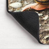 Rode slak op de grond muismat (Hoek)