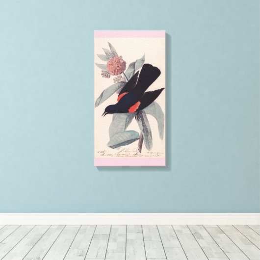Rode slopende zwarte vogel van John James Audubon Canvas Afdruk (Insitu (Houten vloer))