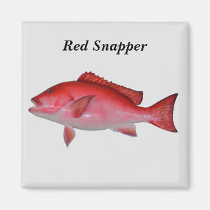 Rode Snapper vis achtergrond Magneet