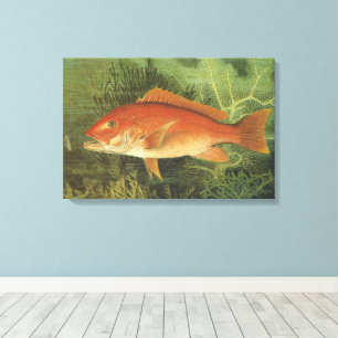 Rode Snapper Vis door Kilbourne, Vintage Zeeleven Canvas Afdruk