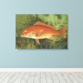 Rode Snapper Vis in de Oceaan,  Marine Life Canvas Afdruk (Insitu (Houten vloer))