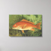 Rode Snapper Vis in de Oceaan,  Marine Life Canvas Afdruk (Voorkant)