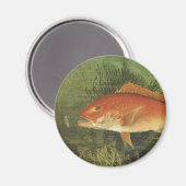 Rode Snapper Vis in de Oceaan,  Marine Life Magneet (Voorkant / Achterkant)