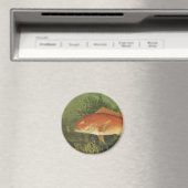 Rode Snapper Vis in de Oceaan,  Marine Life Magneet (Insitu (Vaatwasser))