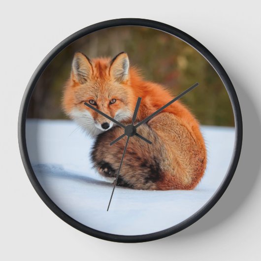 Rode sneeuw | Yukon (Voorkant)