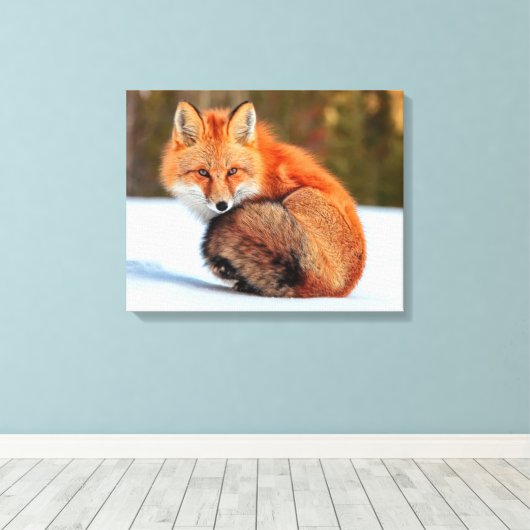 Rode sneeuw | Yukon Canvas Afdruk (Insitu (Houten vloer))