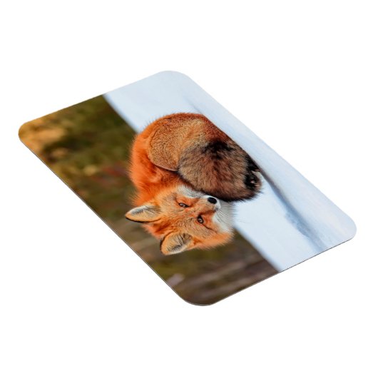 Rode sneeuw | Yukon Magneet (Rechterzijde)