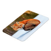 Rode sneeuw | Yukon Magneet (Linkerzijde)