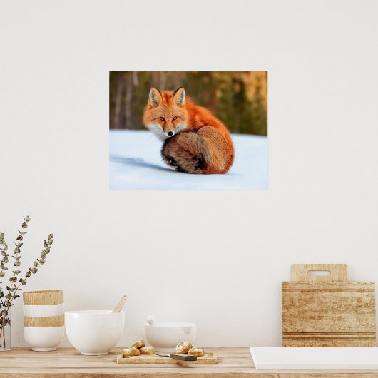 Rode sneeuw | Yukon Poster (Keuken)