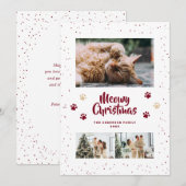 Rode Sneeuwpoot Foto Meowy Kerstkaart (Voorkant / Achterkant)