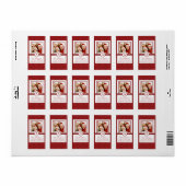 Rode Sneeuwvlokken FOTO Kerstmis Retouradres Etiket (Full Sheet)