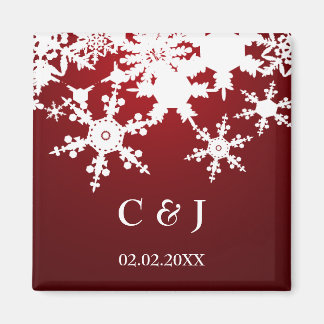 rode sneeuwvlokken redden de datummagneten magneet