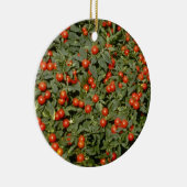 Rode Solanum Pseudocapsicum (Jerusalem Cherry) Keramisch Ornament (Rechts)