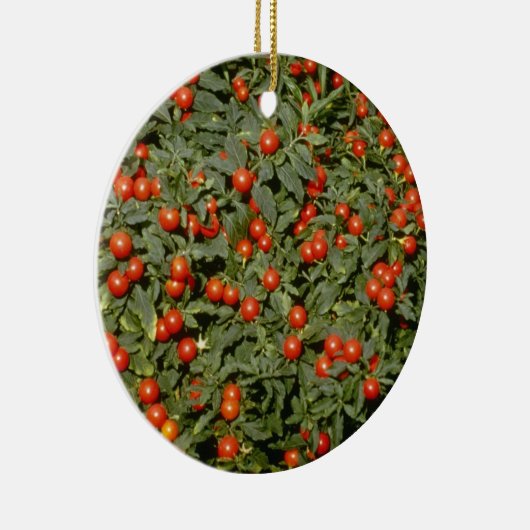 Rode Solanum Pseudocapsicum (Jerusalem Cherry) Keramisch Ornament (Rechts)
