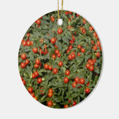 Rode Solanum Pseudocapsicum (Jerusalem Cherry) Keramisch Ornament (Links)