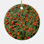 Rode Solanum Pseudocapsicum (Jerusalem Cherry) Keramisch Ornament (Achterkant)
