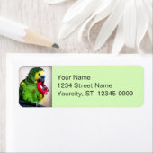 Rode Speelgoed Etiket (Insitu)