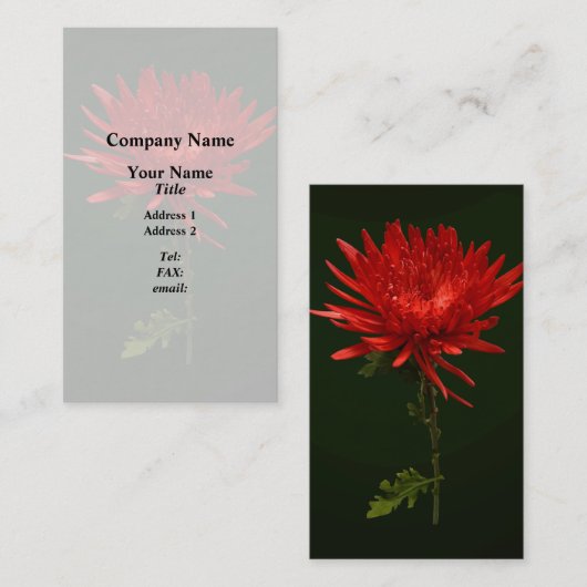 Rode spinmum visitekaartje (Voorkant / Achterkant)