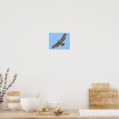 rode-staart zweeft poster (Keuken)