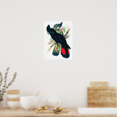 Rode staarten, zwarte (Bankzische) Cockatoten. Poster (Keuken)