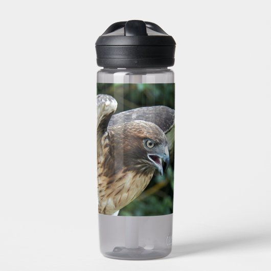 Rode-staartHawk foto Waterfles (Voorkant)