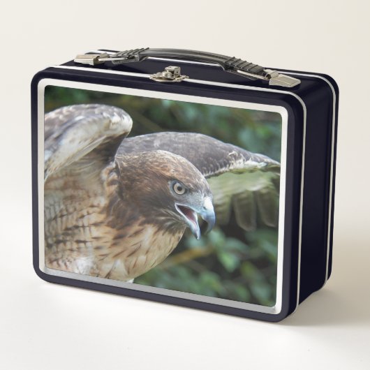 Rode-staartHawk Raptor Foto (Voorkant)