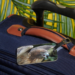 Rode-staartHawk Raptor Foto Bagagelabel