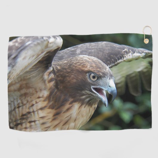 Rode-staartHawk Raptor Foto Golfhanddoek (Horizontaal)