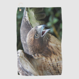Rode-staartHawk Raptor Foto Golfhanddoek