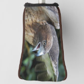 Rode-staartHawk Raptor Foto Golfheadcover (Draai 90)
