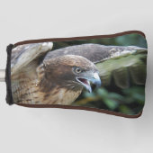 Rode-staartHawk Raptor Foto Golfheadcover (Voorkant)