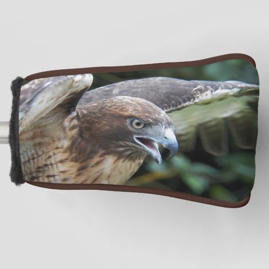 Rode-staartHawk Raptor Foto Golfheadcover (Voorkant)