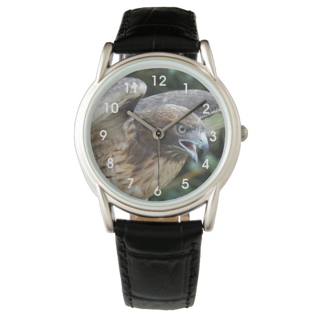 Rode-staartHawk Raptor Foto Horloge (Voorkant)