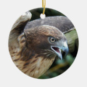Rode-staartHawk Raptor Foto Keramisch Ornament (Voorkant)