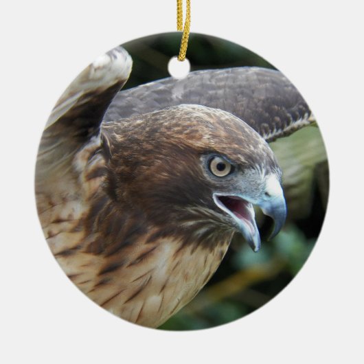 Rode-staartHawk Raptor Foto Keramisch Ornament (Voorkant)