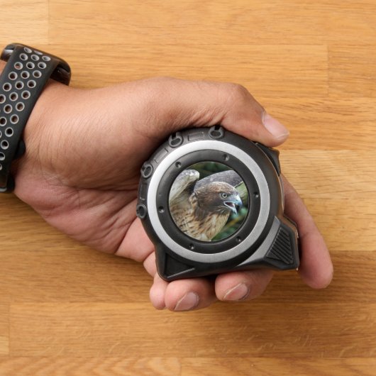 Rode-staartHawk Raptor Foto Rolmaat (Huis)