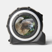 Rode-staartHawk Raptor Foto Rolmaat (Voorkant)